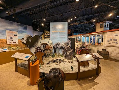 Osceola County Welcome Center and History Museum photo 3