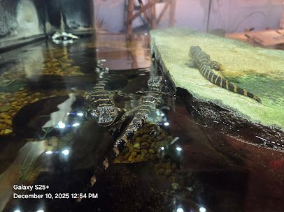 Osceola County Welcome Center and History Museum photo 5