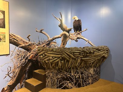 Osceola County Welcome Center and History Museum photo 6