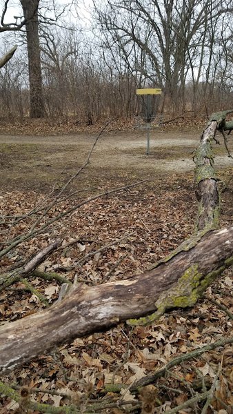 Grayslake Spray Park photo 5
