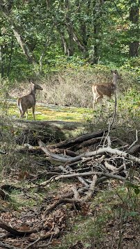 Rye Nature Center photo 5