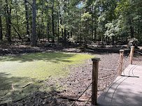 Rye Nature Center photo 6