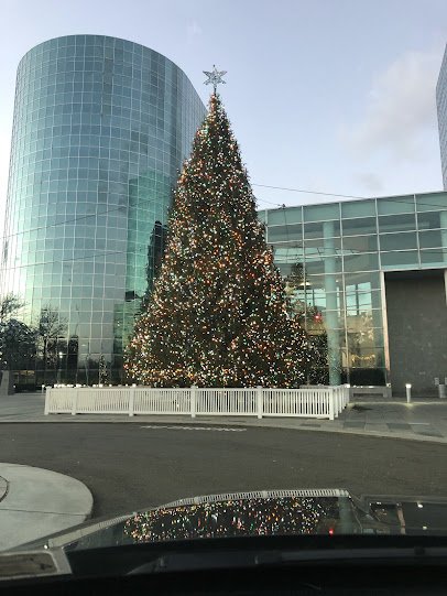 De Matteis Ice Rink photo 4