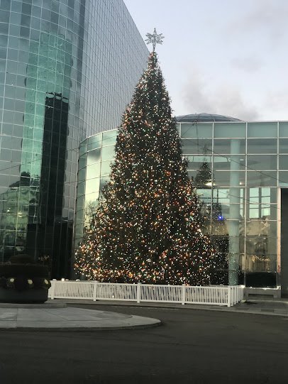 De Matteis Ice Rink photo 5
