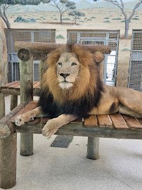 Potawatomi Zoo photo 3
