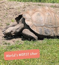 Potawatomi Zoo photo 4