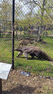 Potawatomi Zoo photo 5