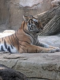 Potawatomi Zoo photo 6