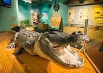 Bayou Terrebonne Waterlife Museum