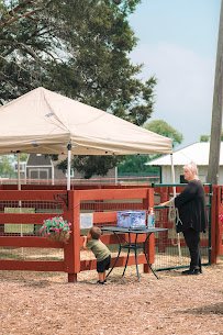 Texas Posh Pony Parties photo 2