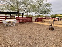 Texas Posh Pony Parties photo 3