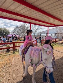 Texas Posh Pony Parties photo 4