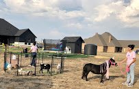 Texas Posh Pony Parties photo 5