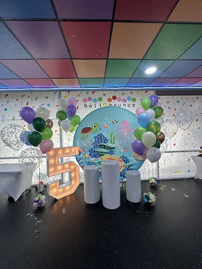 Ball N Bounce photo 4