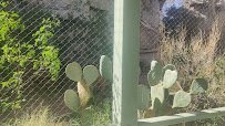 Living Desert Zoo & Gardens State Park photo 2