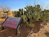 Living Desert Zoo & Gardens State Park photo 4