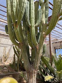 Living Desert Zoo & Gardens State Park photo 5