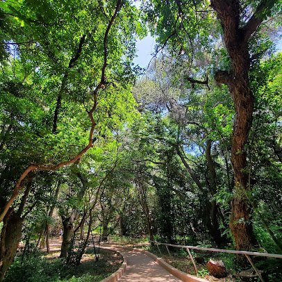 El Dorado Nature Center photo 4