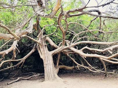 El Dorado Nature Center photo 6