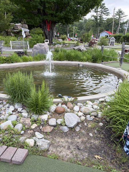 Tabers Restaurant and Golf photo 6