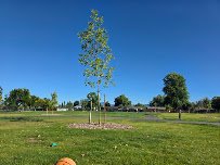 Howard Park Splash Pad photo 4