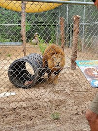 Emerald Coast Zoo photo 3