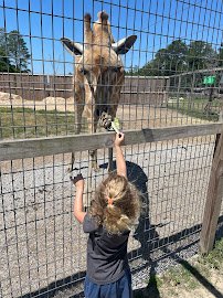 Emerald Coast Zoo photo 4