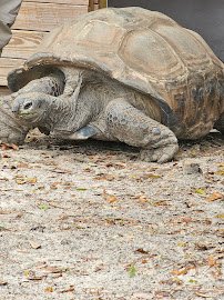 Emerald Coast Zoo photo 5