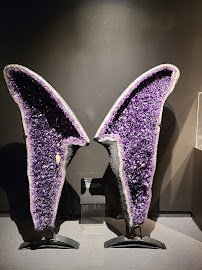 Bruce Museum photo 3
