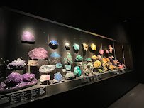 Bruce Museum photo 6