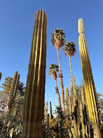 Pioneers' Museum (Imperial County Historical Society) photo 4