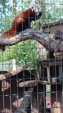 Mill Mountain Zoo photo 2