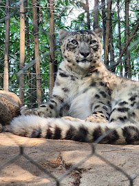 Mill Mountain Zoo photo 3