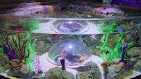 SEA LIFE Grapevine Aquarium photo 2