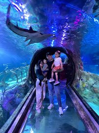 SEA LIFE Grapevine Aquarium photo 3