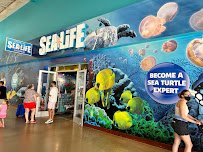 SEA LIFE Grapevine Aquarium photo 4