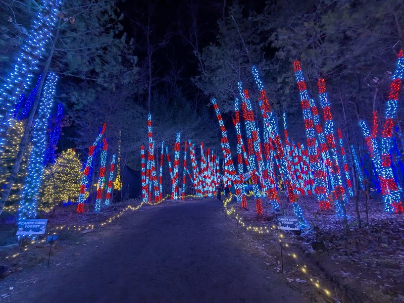 Mel's Funway Park photo 4