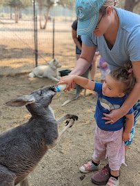 Gramma Roses Kangaroos and Zoo photo 2