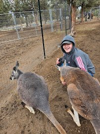 Gramma Roses Kangaroos and Zoo photo 3