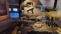 Field Museum photo 2