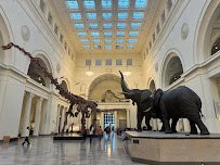 Field Museum photo 3