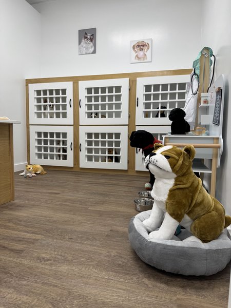 FeFe's Indoor Play photo 5