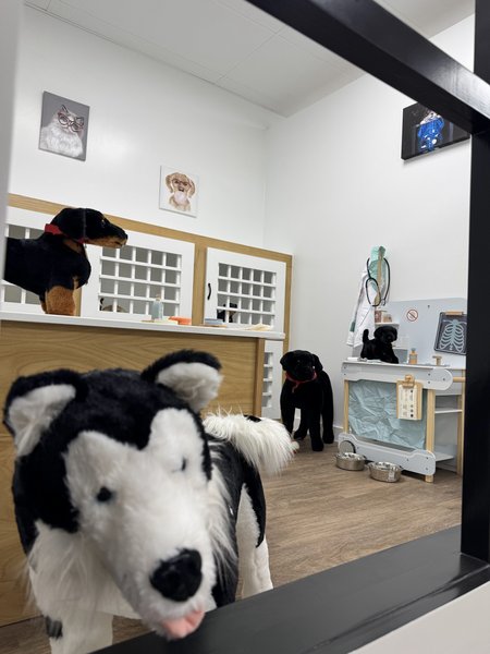 FeFe's Indoor Play photo 6