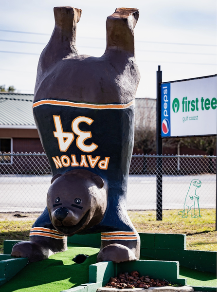 Goofy Golf of Pensacola photo 5