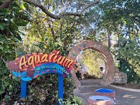 Manta Aquarium photo 4