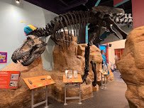 Creative Discovery Museum photo 5