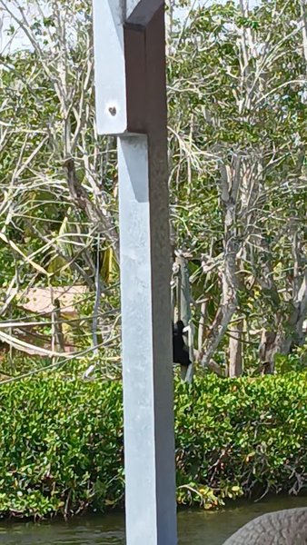 Naples Zoo Playground photo 5