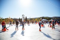 Kristi Yamaguchi Holiday Ice Rink photo 3