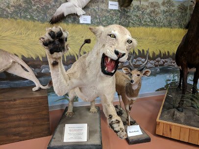 Children's Discovery Museum photo 6