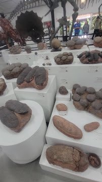 Jurupa Mountains Discovery Center photo 2